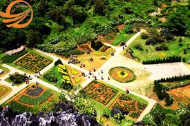 Trên núi Hàm Rồng có rất nhiá»u loài hoa khoe sắc, đặc biệt là hoa Lan